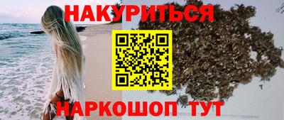 Альфа ПВП Дубна
