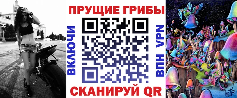 Галлюциногенные грибы Psilocybine cubensis Минусинск