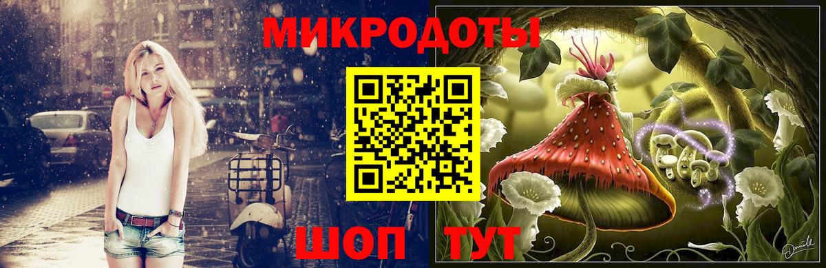 Минусинск  Псилоцибиновые грибы Cubensis  Вход с VPN 