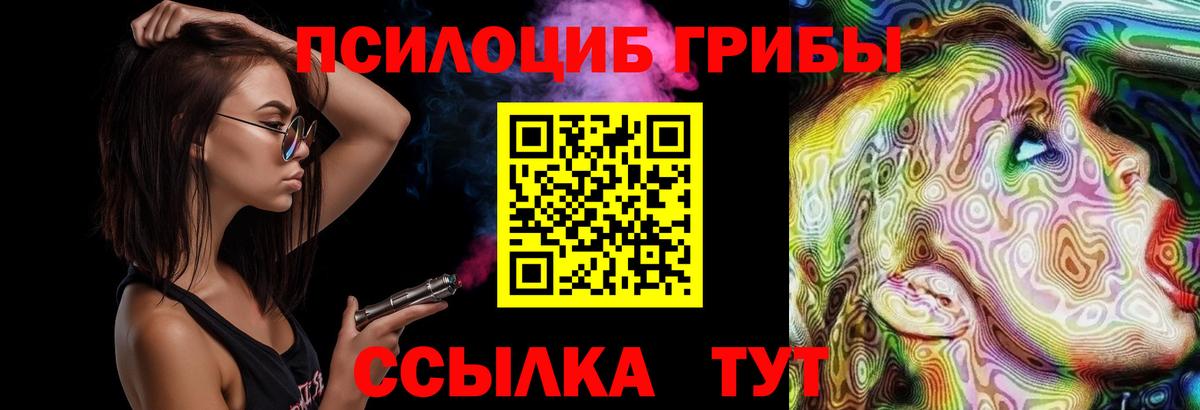 Псилоцибиновые грибы мицелий Минусинск