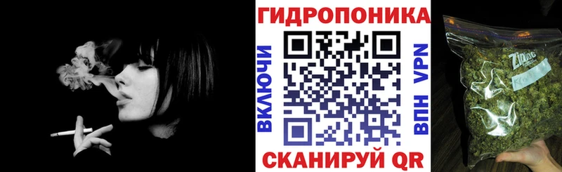 Шишки марихуана гибрид Минусинск